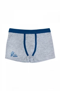 Боксери хлопчачі