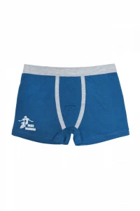 Боксери хлопчачі