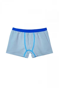 Боксери хлопчачі