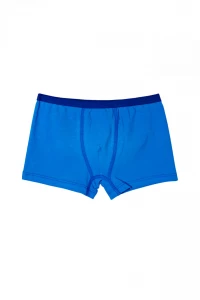 Боксери хлопчачі