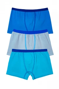 Боксери хлопчачі