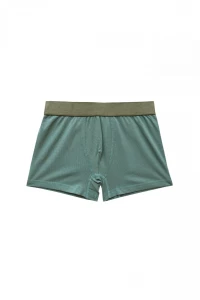 Труси хлопчачі